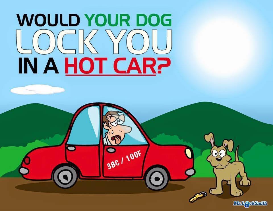 owner locked by a dog in a hot car